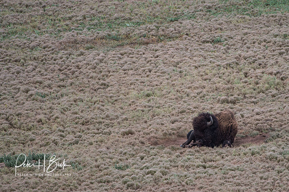 South Dakota 2015 1759