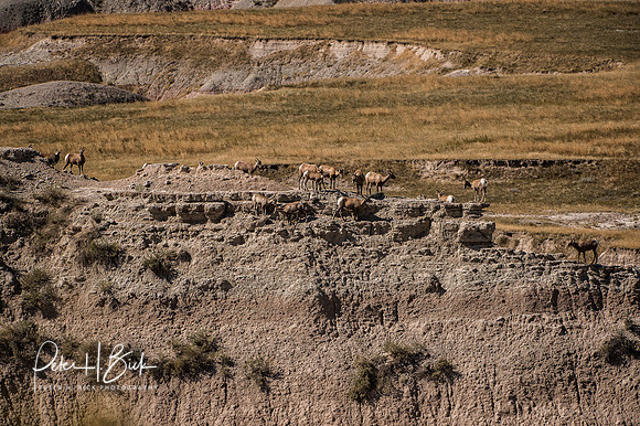 South Dakota 2015 2381-Edit