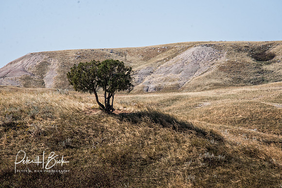 South Dakota 2015 2281-Edit
