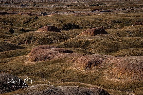 South Dakota 2015 2303-Edit
