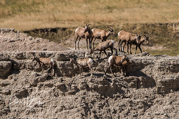 South Dakota 2015 2372-Edit