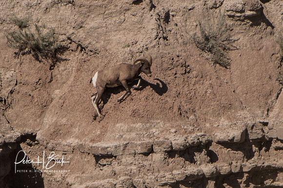South Dakota 2015 2471