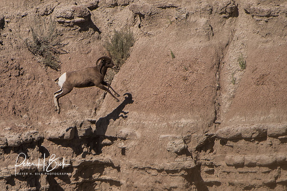 South Dakota 2015 2473