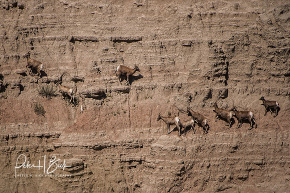 South Dakota 2015 2485-Edit