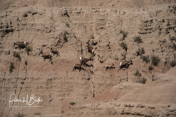 South Dakota 2015 2511