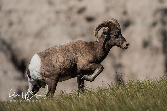 South Dakota 2015 2657