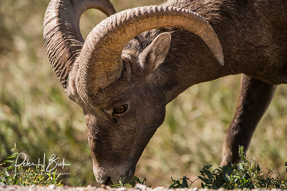 South Dakota 2015 2747
