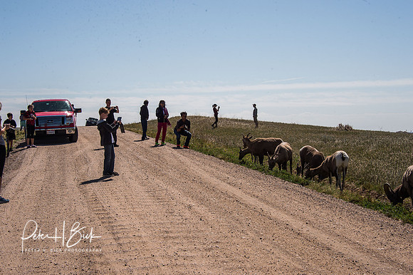 South Dakota 2015 2775