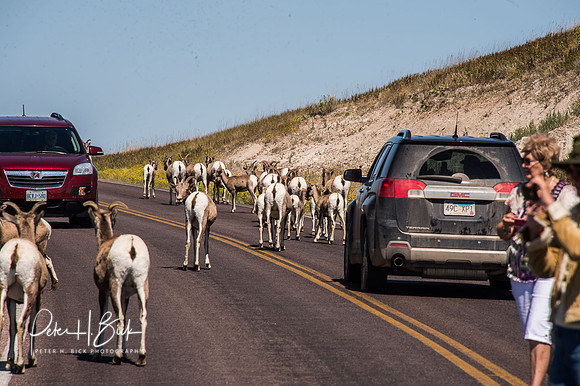 South Dakota 2015 2785