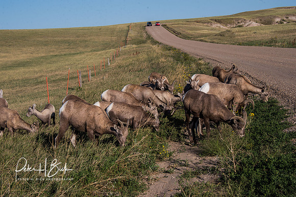 South Dakota 2015 2944