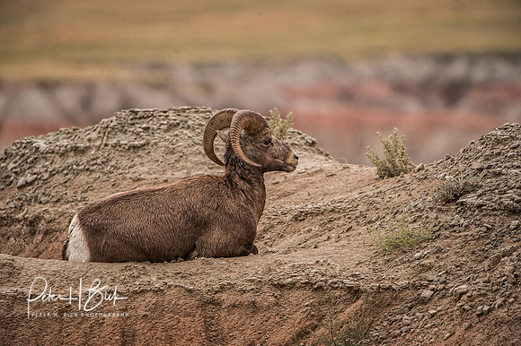 South Dakota 2015 3177-Edit