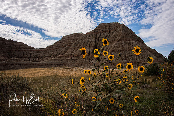 South Dakota 2015 3267-Edit