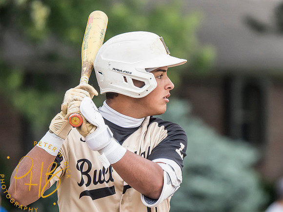 Lapel Baseball 2026-1955-Edit