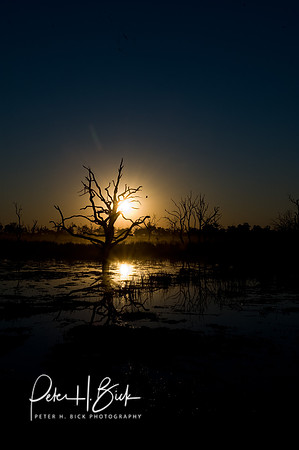 Africa 08 9455