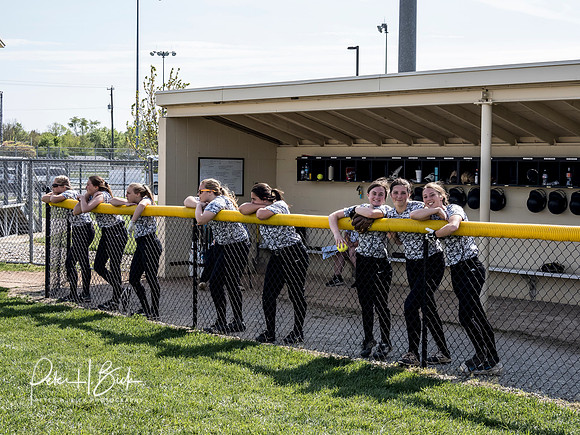 Lapel Softball 2019 0993