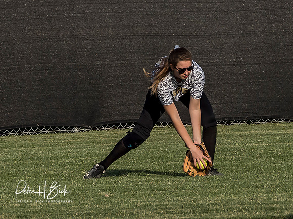 Lapel Softball 2019 0611
