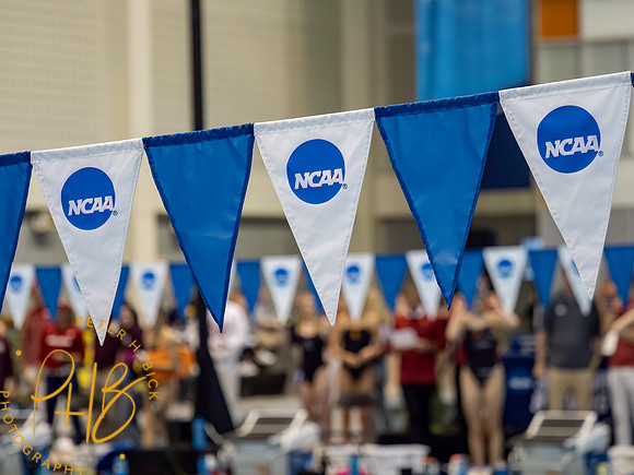 venue- 2023 D1 WNCAA 0013-Edit
