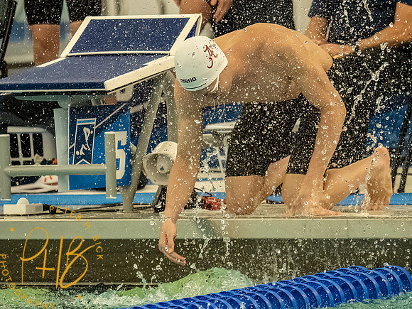 alabama-800-free-relay- 2023 D1 MNCAA 0134-Edit