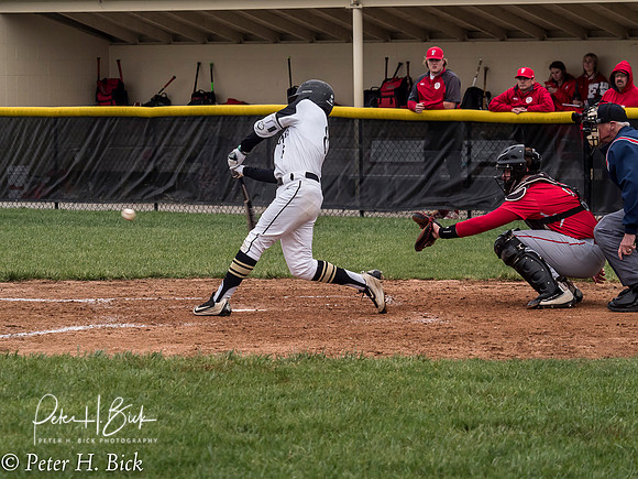 Lapel Baseball 2017 0606