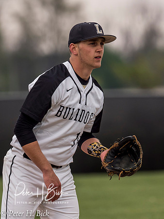 Lapel Baseball 2017 0102