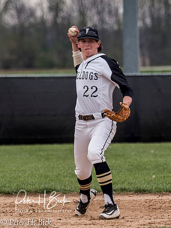 Lapel Baseball 2017 0310