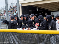 Lapel Baseball 2017