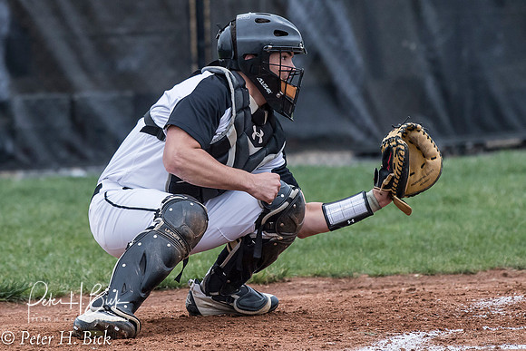 Lapel Baseball 2017 0188
