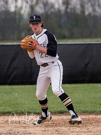 Lapel Baseball 2017 0303