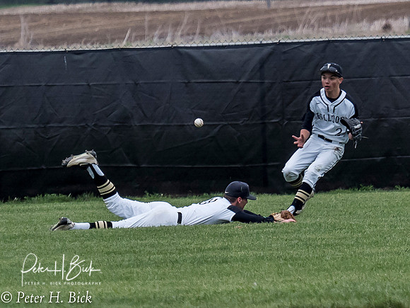 Lapel Baseball 2017 0516