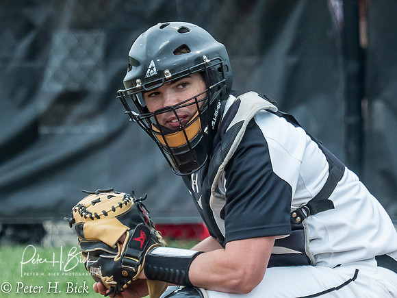 Lapel Baseball 2017 0421