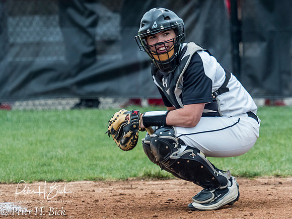 Lapel Baseball 2017 0415