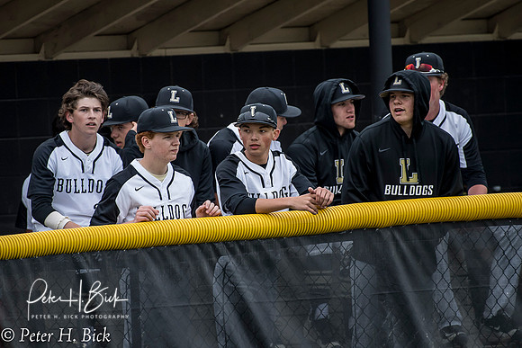 Lapel Baseball 2017 0154