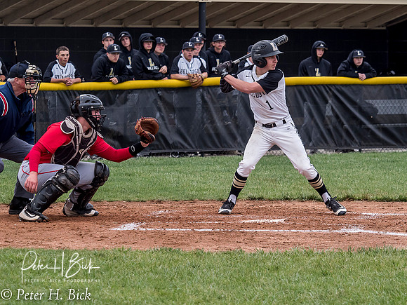 Lapel Baseball 2017 0256