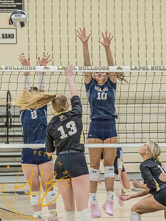 Lapel Volleyball 2026-317-Edit