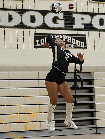 Lapel Volleyball 2026-540-Edit