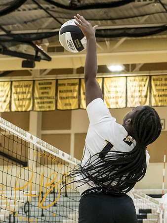 Lapel Volleyball 2026-746-Edit