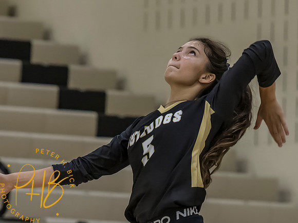Lapel volleyball 2026-863-Edit