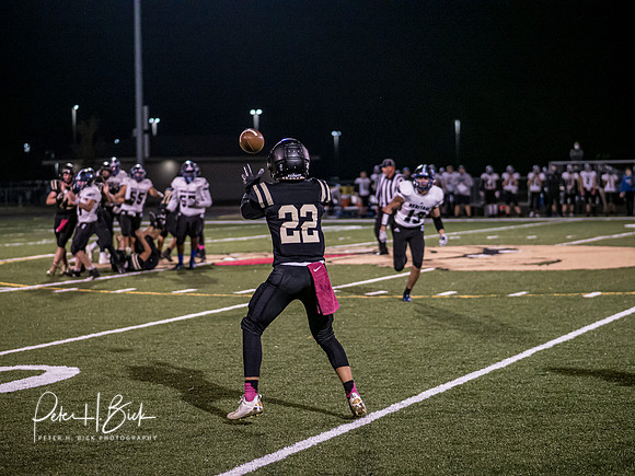 Lapel Football 2020 2077 _