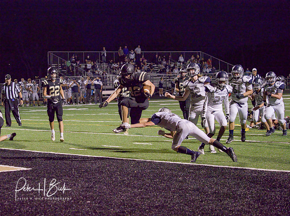 Lapel Football 2020 1657-denoise-low-light _