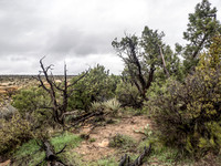 2026 Sothwest Trip 0061-Edit-Edit