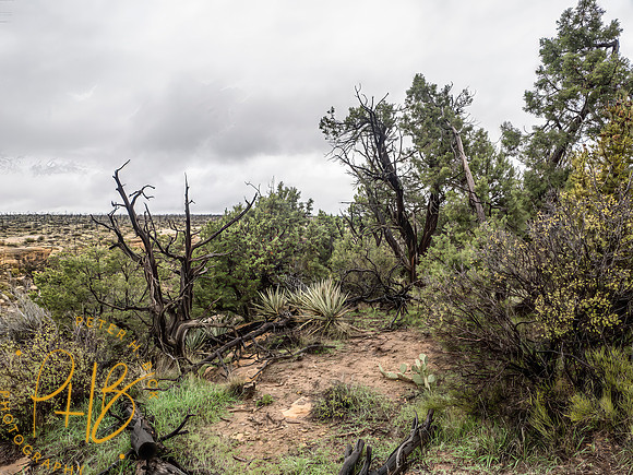 2026 Sothwest Trip 0061-Edit-Edit