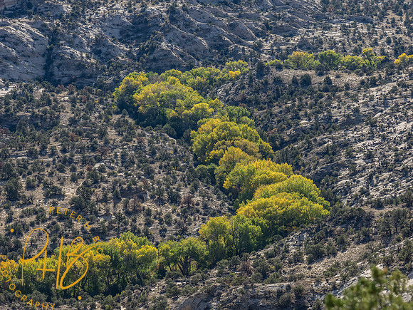 2026 Sothwest Trip 0543-Edit