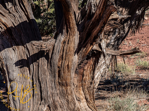 2026 Sothwest Trip 0375-Edit