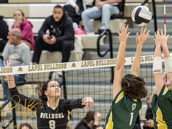 Lapel Volleyball 2026-1109-Edit