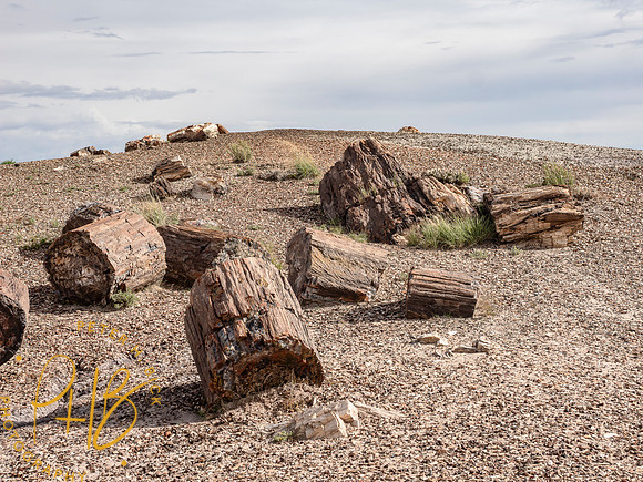 2026 Sothwest Trip 1480-Edit