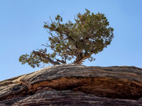 2026 Sothwest Trip 0178-Edit
