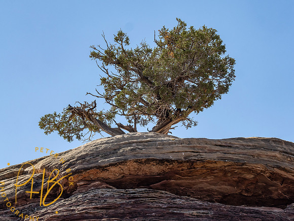 2026 Sothwest Trip 0178-Edit
