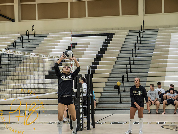 Lapel Volleyball 2026-1303-Edit