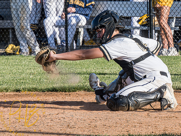 Lapel Baseball 2023 1098-Enhanced-NR