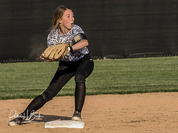 Lapel Softball 2019 0627
